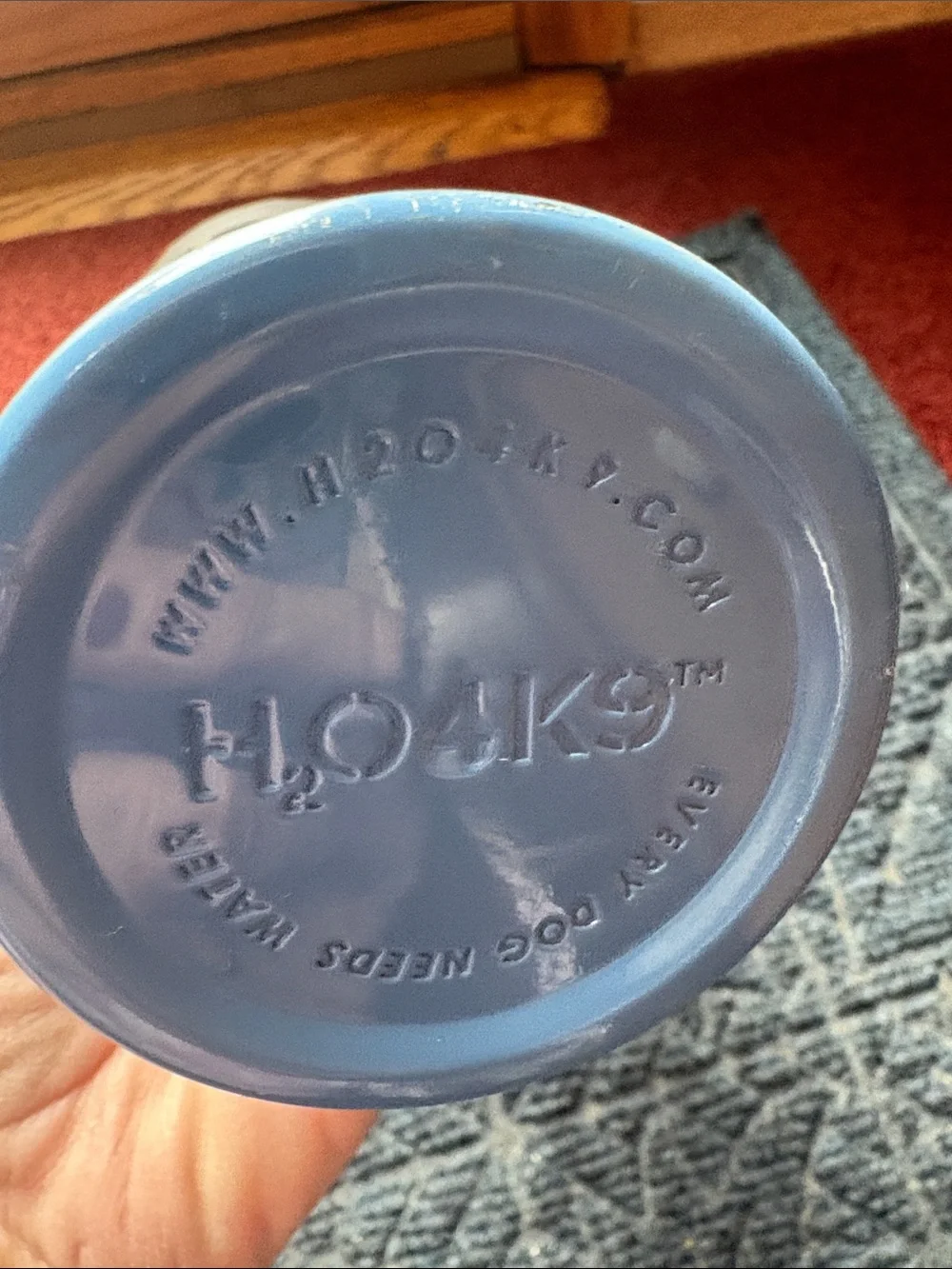 H2O GO Stainless Water Bottle in Light Blue with Black Cap